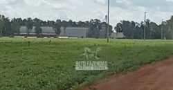 Fazenda à Venda 15.000 Hectares Alta Produtividade e Excelente Logística | Itiquira/ MT