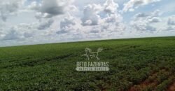 Fazenda à Venda 15.000 Hectares Alta Produtividade e Excelente Logística | Itiquira/ MT