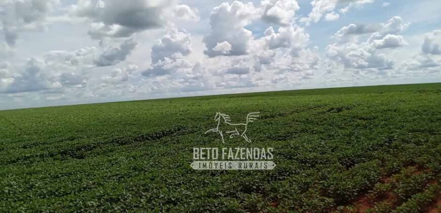 Fazenda à Venda 15.000 Hectares Alta Produtividade e Excelente Logística | Itiquira/ MT