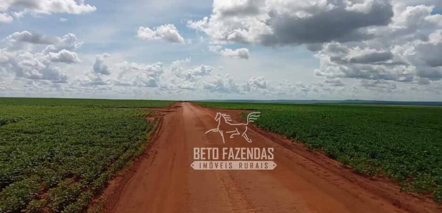 Fazenda à Venda 15.000 Hectares Alta Produtividade e Excelente Logística | Itiquira/ MT