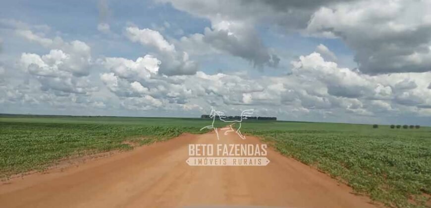 Fazenda à Venda 15.000 Hectares Alta Produtividade e Excelente Logística | Itiquira/ MT