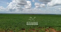 Fazenda à Venda 15.000 Hectares Alta Produtividade e Excelente Logística | Itiquira/ MT