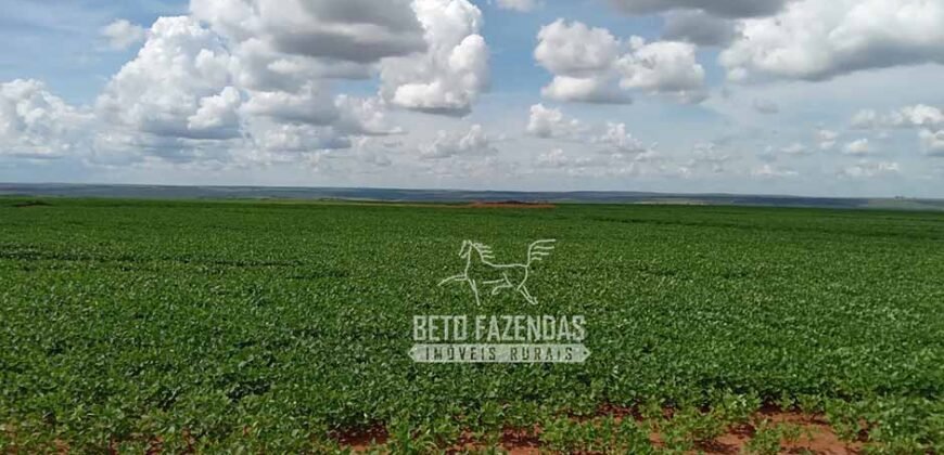 Fazenda à Venda 15.000 Hectares Alta Produtividade e Excelente Logística | Itiquira/ MT