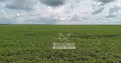 Fazenda à Venda 15.000 Hectares Alta Produtividade e Excelente Logística | Itiquira/ MT