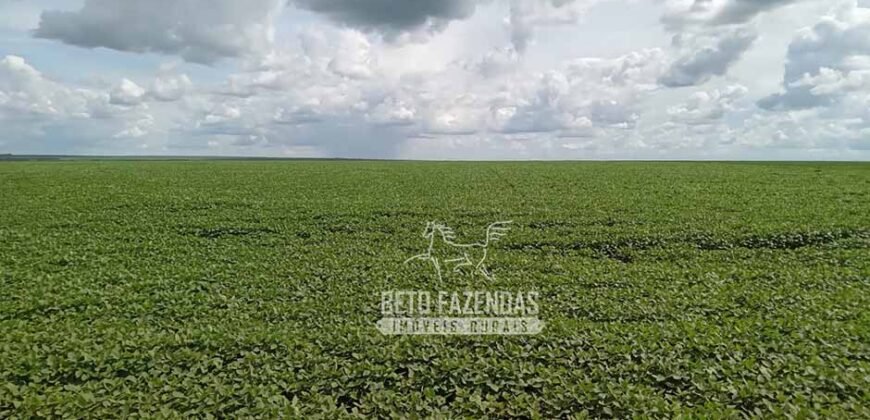 Fazenda à Venda 15.000 Hectares Alta Produtividade e Excelente Logística | Itiquira/ MT