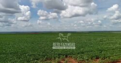 Fazenda à Venda 15.000 Hectares Alta Produtividade e Excelente Logística | Itiquira/ MT