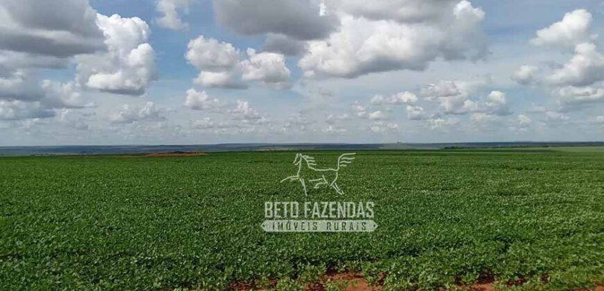 Fazenda à Venda 15.000 Hectares Alta Produtividade e Excelente Logística | Itiquira/ MT