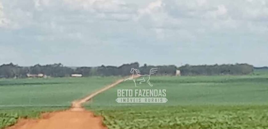 Fazenda à Venda 15.000 Hectares Alta Produtividade e Excelente Logística | Itiquira/ MT