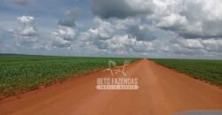 Fazenda à Venda 15.000 Hectares Alta Produtividade e Excelente Logística | Itiquira/ MT
