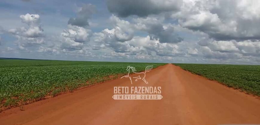 Fazenda à Venda 15.000 Hectares Alta Produtividade e Excelente Logística | Itiquira/ MT