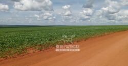 Fazenda à Venda 15.000 Hectares Alta Produtividade e Excelente Logística | Itiquira/ MT