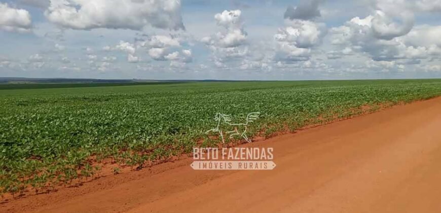 Fazenda à Venda 15.000 Hectares Alta Produtividade e Excelente Logística | Itiquira/ MT