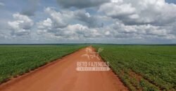 Fazenda à Venda 15.000 Hectares Alta Produtividade e Excelente Logística | Itiquira/ MT