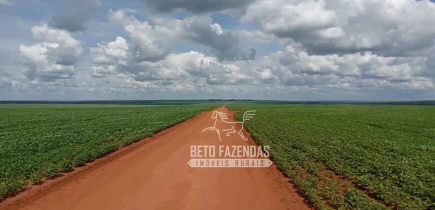 Fazenda à Venda 15.000 Hectares Alta Produtividade e Excelente Logística | Itiquira/ MT
