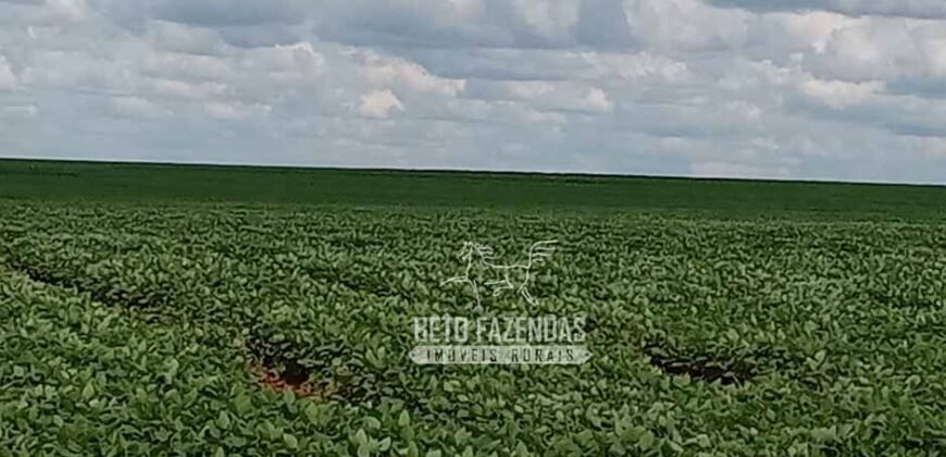 Fazenda à Venda 15.000 Hectares Alta Produtividade e Excelente Logística | Itiquira/ MT