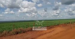 Fazenda à Venda 15.000 Hectares Alta Produtividade e Excelente Logística | Itiquira/ MT