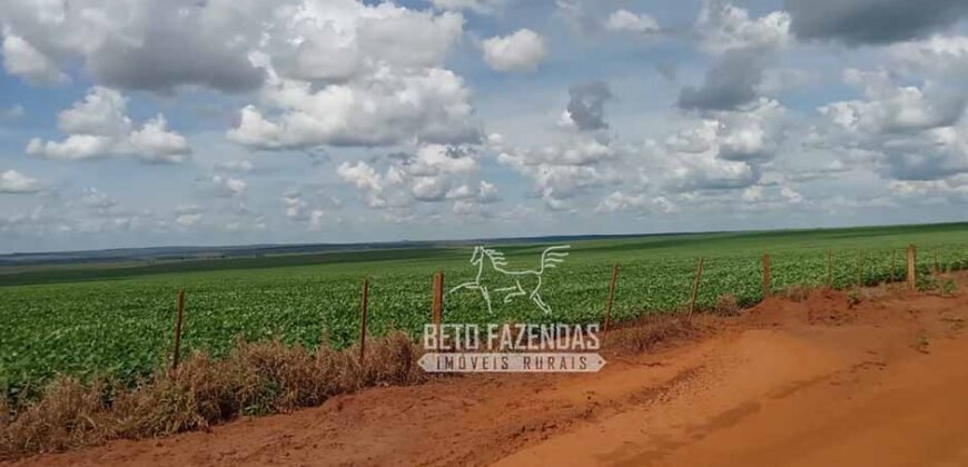 Fazenda à Venda 15.000 Hectares Alta Produtividade e Excelente Logística | Itiquira/ MT