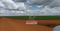 Fazenda à Venda 15.000 Hectares Alta Produtividade e Excelente Logística | Itiquira/ MT