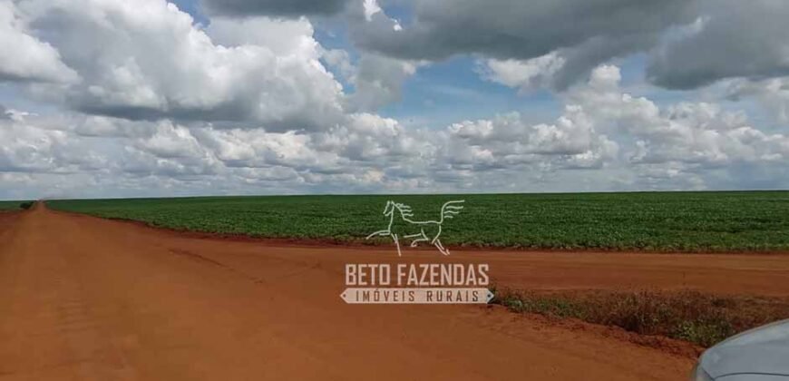 Fazenda à Venda 15.000 Hectares Alta Produtividade e Excelente Logística | Itiquira/ MT