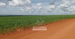 Fazenda à Venda 15.000 Hectares Alta Produtividade e Excelente Logística | Itiquira/ MT