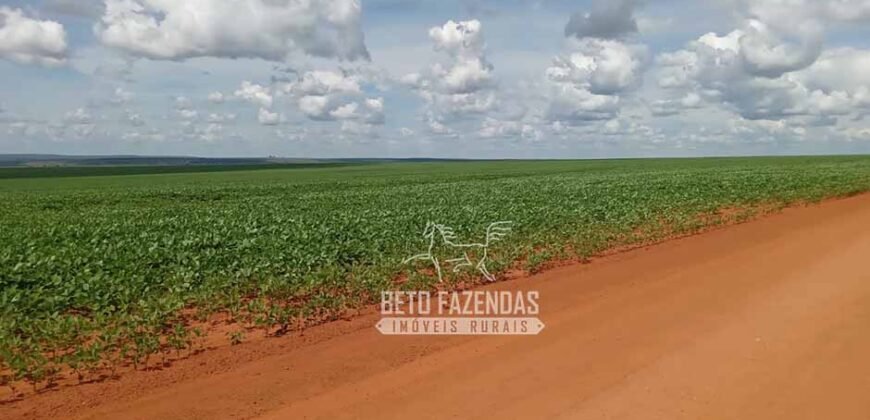Fazenda à Venda 15.000 Hectares Alta Produtividade e Excelente Logística | Itiquira/ MT