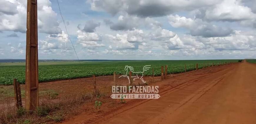 Fazenda à Venda 15.000 Hectares Alta Produtividade e Excelente Logística | Itiquira/ MT