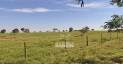 Fazenda Completa 248 alqueires para Pecuária | Pereira Barretos/SP