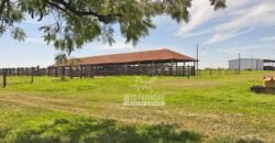 Fazenda Completa 248 alqueires para Pecuária | Pereira Barretos/SP