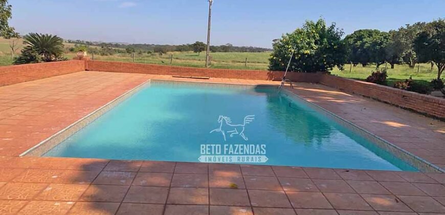 Fazenda Completa 248 alqueires para Pecuária | Pereira Barretos/SP