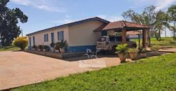 Fazenda Completa 248 alqueires para Pecuária | Pereira Barretos/SP