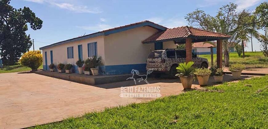 Fazenda Completa 248 alqueires para Pecuária | Pereira Barretos/SP