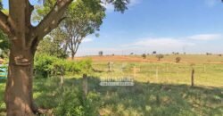 Fazenda Completa 248 alqueires para Pecuária | Pereira Barretos/SP