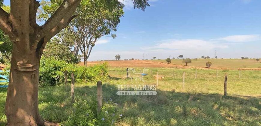 Fazenda Completa 248 alqueires para Pecuária | Pereira Barretos/SP