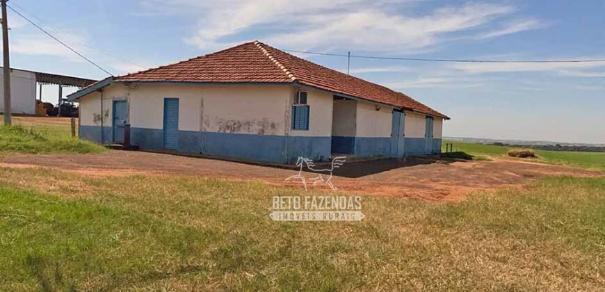 Fazenda Completa 248 alqueires para Pecuária | Pereira Barretos/SP