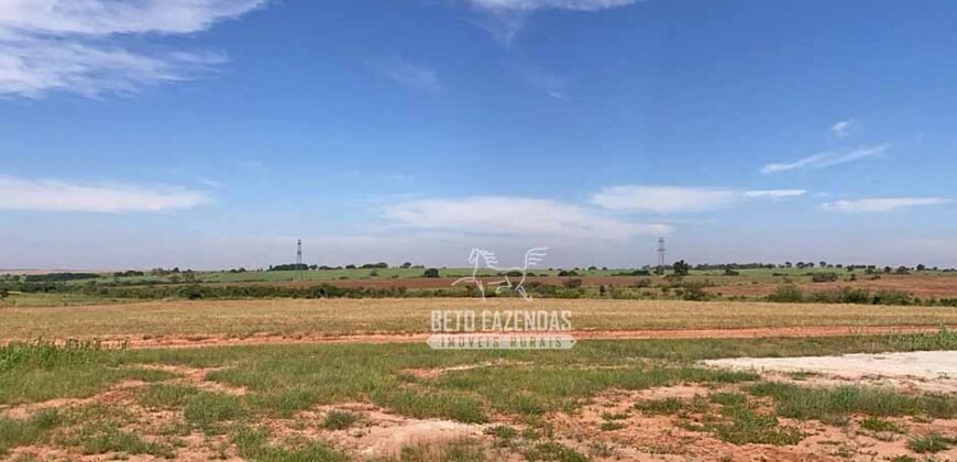 Fazenda Completa 248 alqueires para Pecuária | Pereira Barretos/SP