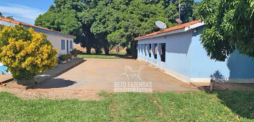 Fazenda Completa 248 alqueires para Pecuária | Pereira Barretos/SP