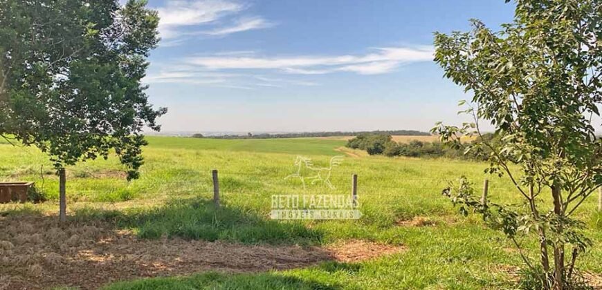Fazenda Completa 248 alqueires para Pecuária | Pereira Barretos/SP