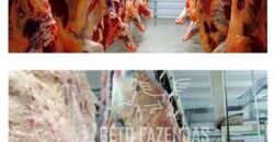 Frigorífico Bovino em Goiás 24,20 hectares – Plena Atividade e Alto Potencia