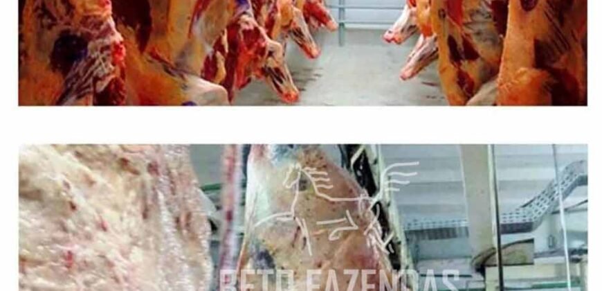 Frigorífico Bovino em Goiás 24,20 hectares – Plena Atividade e Alto Potencia