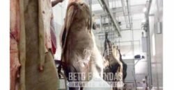 Frigorífico Bovino em Goiás 24,20 hectares – Plena Atividade e Alto Potencia