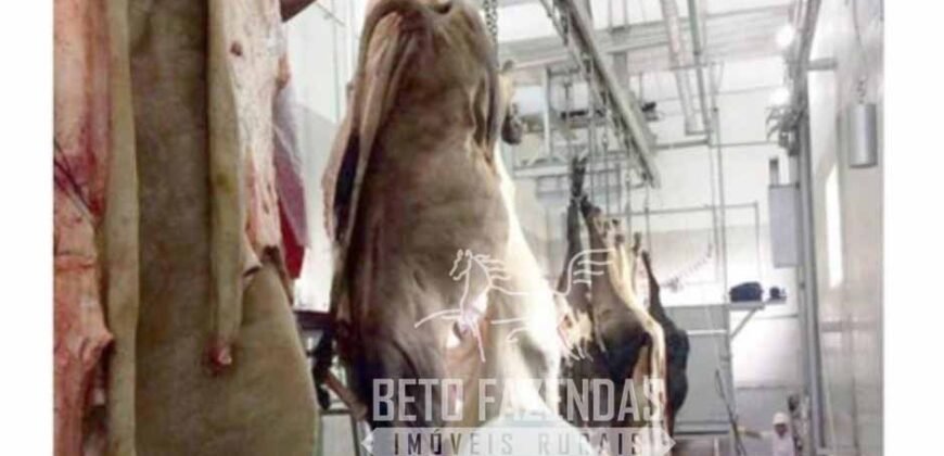 Frigorífico Bovino em Goiás 24,20 hectares – Plena Atividade e Alto Potencia