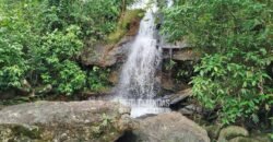 Fazenda com Natureza Exuberante 40 Alq Toda no Pasto | Rio Preto/MG Fazenda com Natureza Exuberante 40 Alq Toda no Pasto | Rio Preto/MG