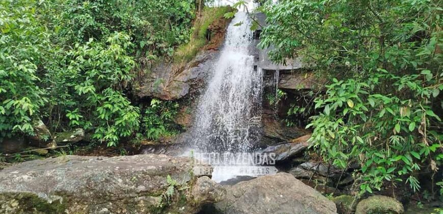 Fazenda com Natureza Exuberante 40 Alq Toda no Pasto | Rio Preto/MG Fazenda com Natureza Exuberante 40 Alq Toda no Pasto | Rio Preto/MG