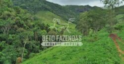 Fazenda com Natureza Exuberante 40 Alq Toda no Pasto | Rio Preto/MG Fazenda com Natureza Exuberante 40 Alq Toda no Pasto | Rio Preto/MG