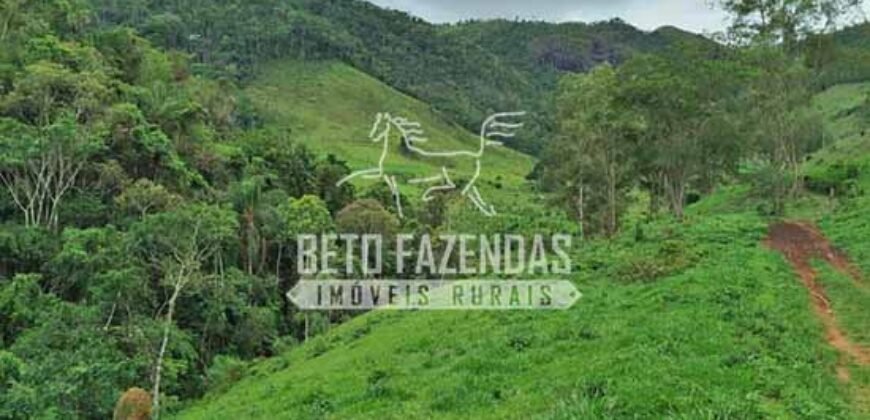 Fazenda com Natureza Exuberante 40 Alq Toda no Pasto | Rio Preto/MG Fazenda com Natureza Exuberante 40 Alq Toda no Pasto | Rio Preto/MG