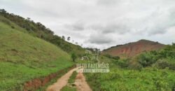 Fazenda com Natureza Exuberante 40 Alq Toda no Pasto | Rio Preto/MG Fazenda com Natureza Exuberante 40 Alq Toda no Pasto | Rio Preto/MG