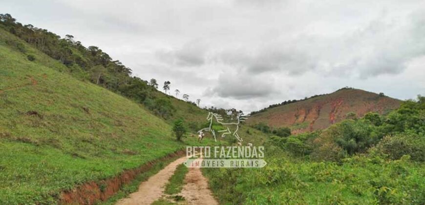 Fazenda com Natureza Exuberante 40 Alq Toda no Pasto | Rio Preto/MG Fazenda com Natureza Exuberante 40 Alq Toda no Pasto | Rio Preto/MG