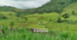 Fazenda com Natureza Exuberante 40 Alq Toda no Pasto | Rio Preto/MG Fazenda com Natureza Exuberante 40 Alq Toda no Pasto | Rio Preto/MG