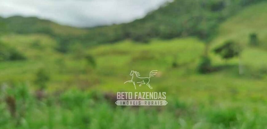 Fazenda com Natureza Exuberante 40 Alq Toda no Pasto | Rio Preto/MG Fazenda com Natureza Exuberante 40 Alq Toda no Pasto | Rio Preto/MG