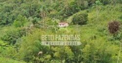 Fazenda com Natureza Exuberante 40 Alq Toda no Pasto | Rio Preto/MG Fazenda com Natureza Exuberante 40 Alq Toda no Pasto | Rio Preto/MG